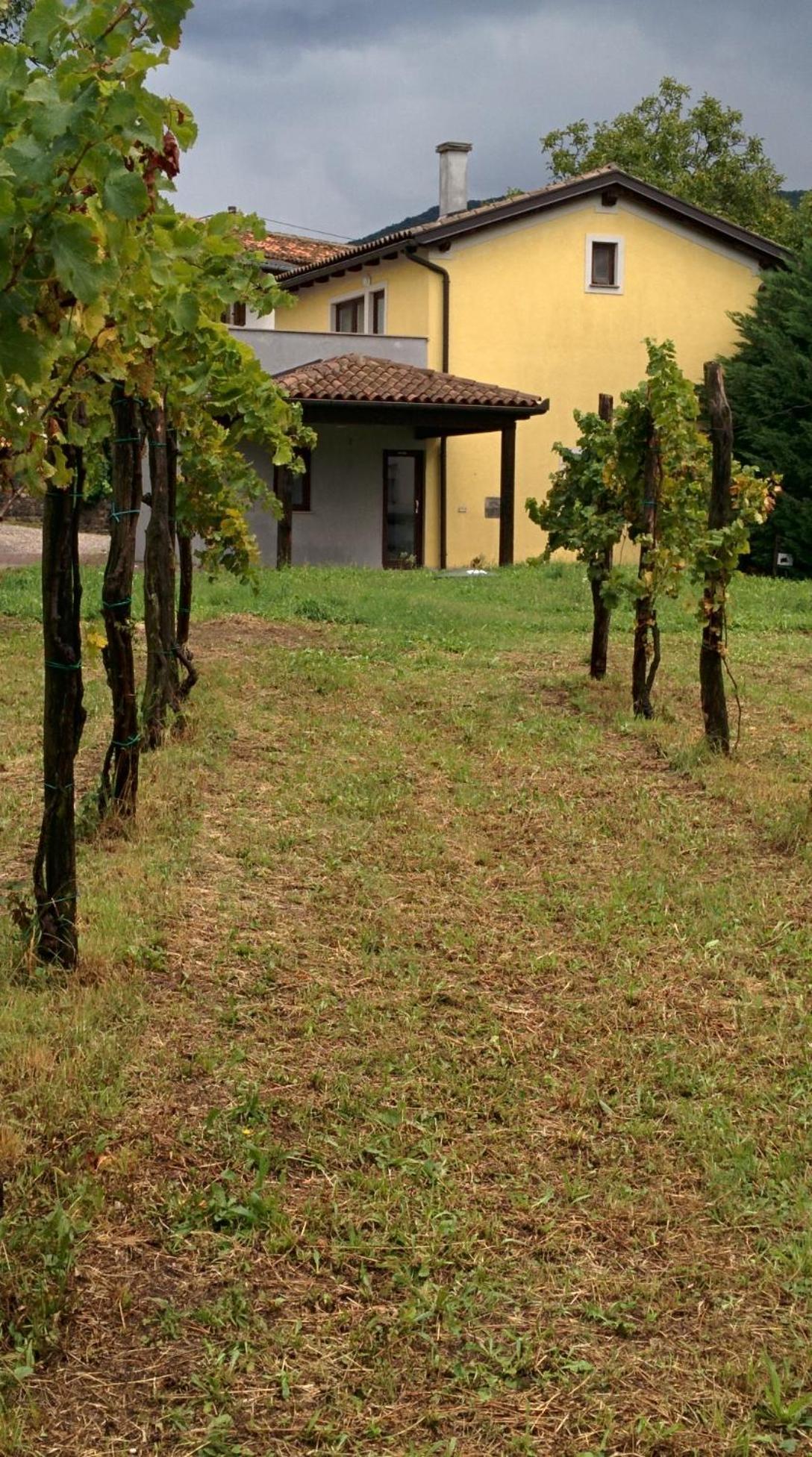 Small House In Vipava Valley ภายนอก รูปภาพ