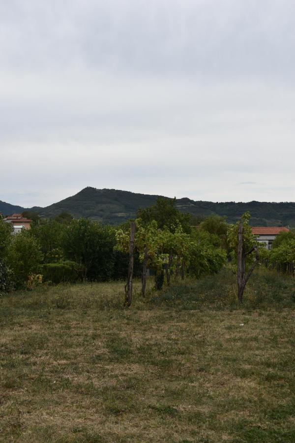Small House In Vipava Valley ภายนอก รูปภาพ